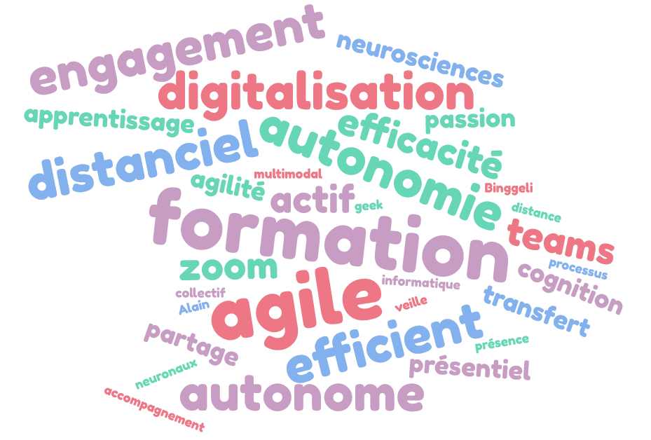 formationsdistanceagiles